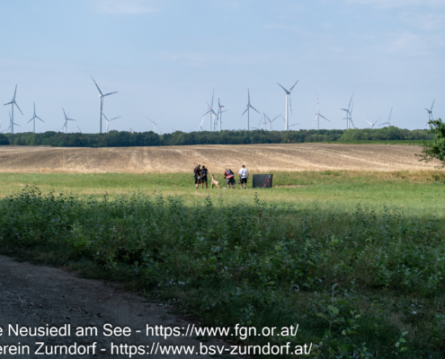 OESTM_20260808-128